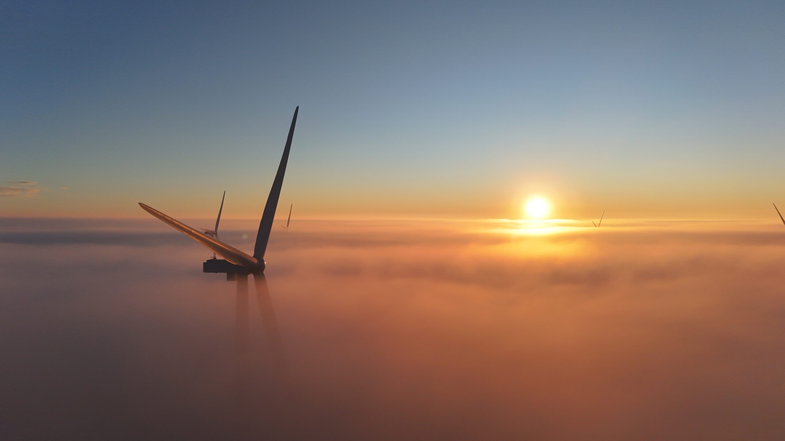 Projet Buffalo Plains